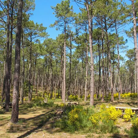 Les Chenes By Interhome *