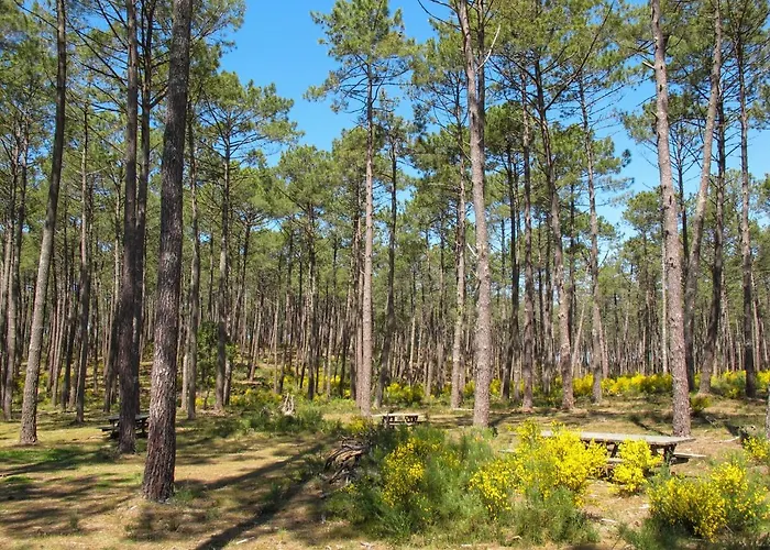 Les Chenes By Interhome *